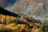 20101104_121733 Boschi autunnali e vista su Chiavenna e Pianazzola.jpg